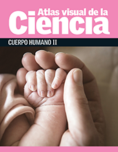 Atlas visual de la ciencia