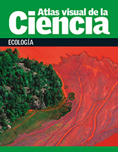 Atlas visual de la ciencia