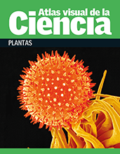 Atlas visual de la ciencia