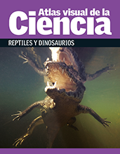 Atlas visual de la ciencia