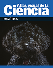 Atlas visual de la ciencia